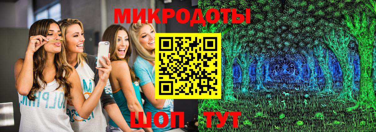 Кудрово  Псилоцибиновые грибы Psilocybe  Псилоцибиновые грибы прущие грибы  купить закладку  Вход с VPN 