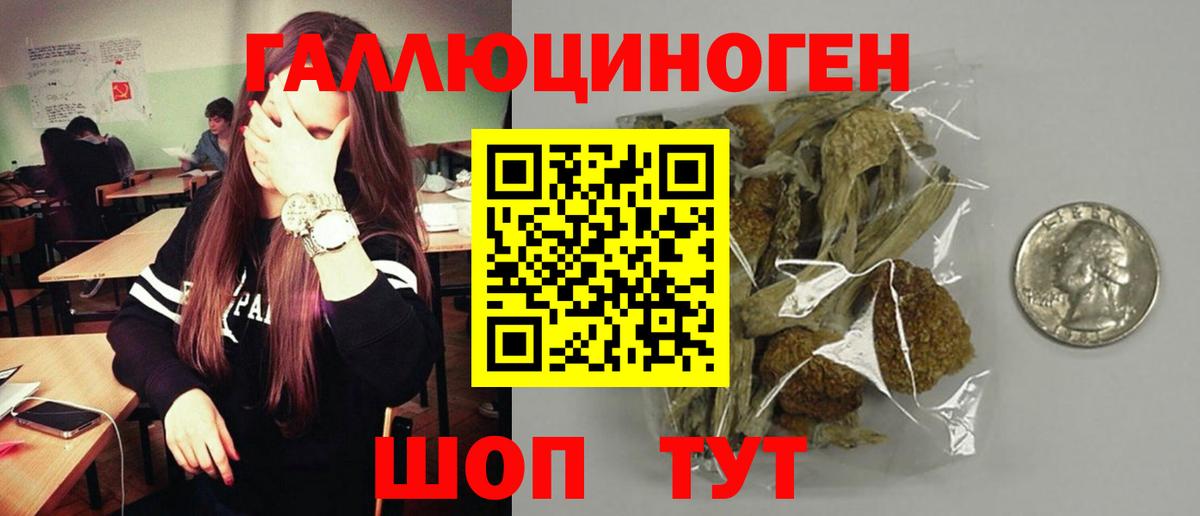 Псилоцибиновые грибы мицелий Кудрово