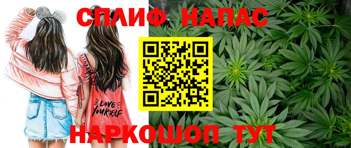 Конопля план  Вход с VPN  Кудрово  Конопля OG Kush  Конопля Ganja  Каннабис MAZAR 